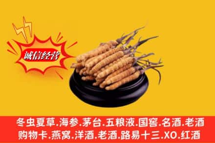 厦门市翔安高价上门回收虫草多少钱每克